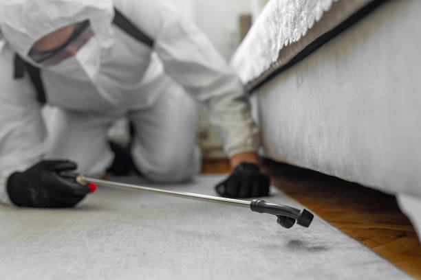 Professional Bed Bug Control technician working in Gardere, LA